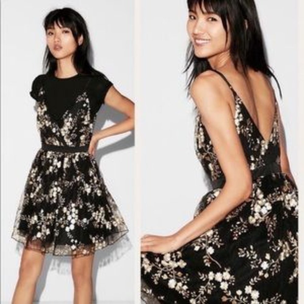 NWT Express Embroidered Lace Fit And Flare Dress